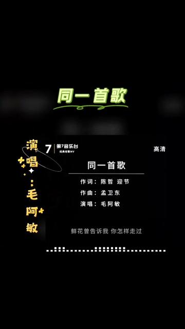 《同一首歌》毛阿敏演唱哔哩哔哩bilibili