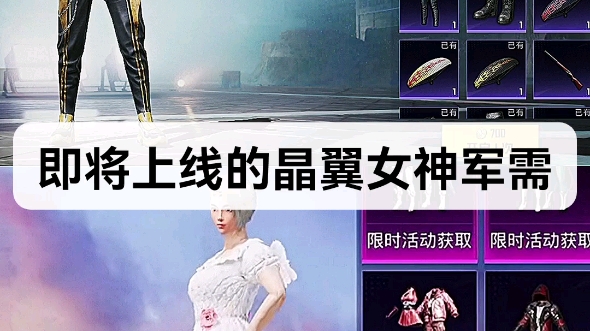 即将上线的晶翼女神军需