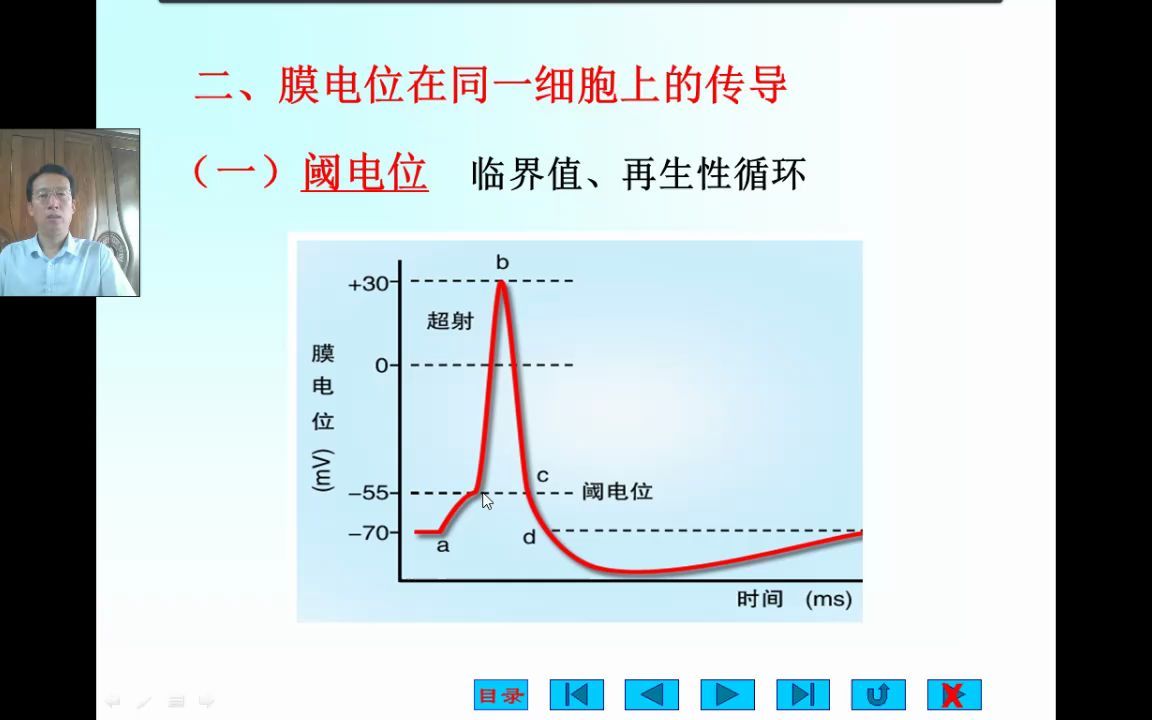 细胞阈电位2哔哩哔哩bilibili