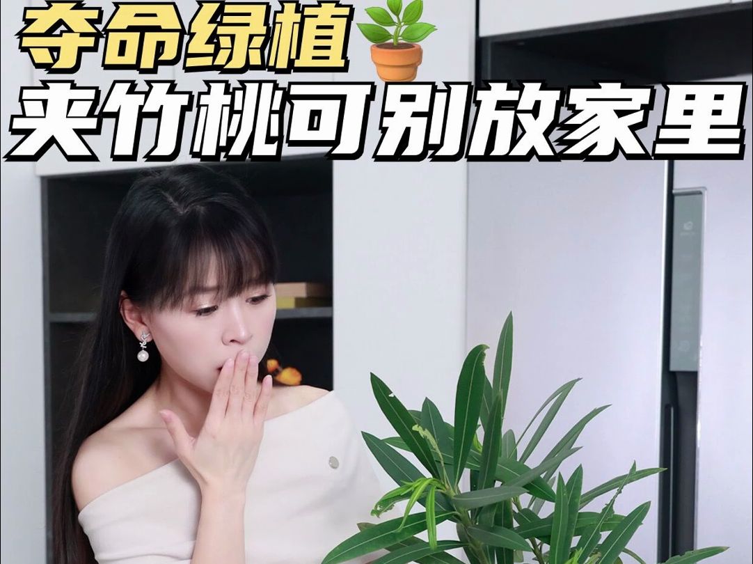 野花虽好看,但是千万不能摘回家当绿植养!哔哩哔哩bilibili