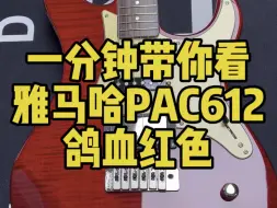 Tải video: 一分钟带你看PAC612鸽血红