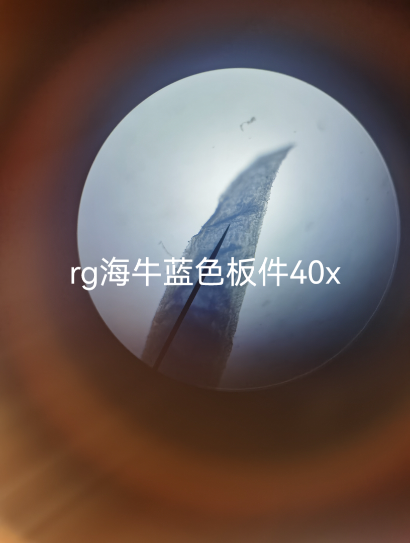 显微镜下的rg海牛万代板件哔哩哔哩bilibili