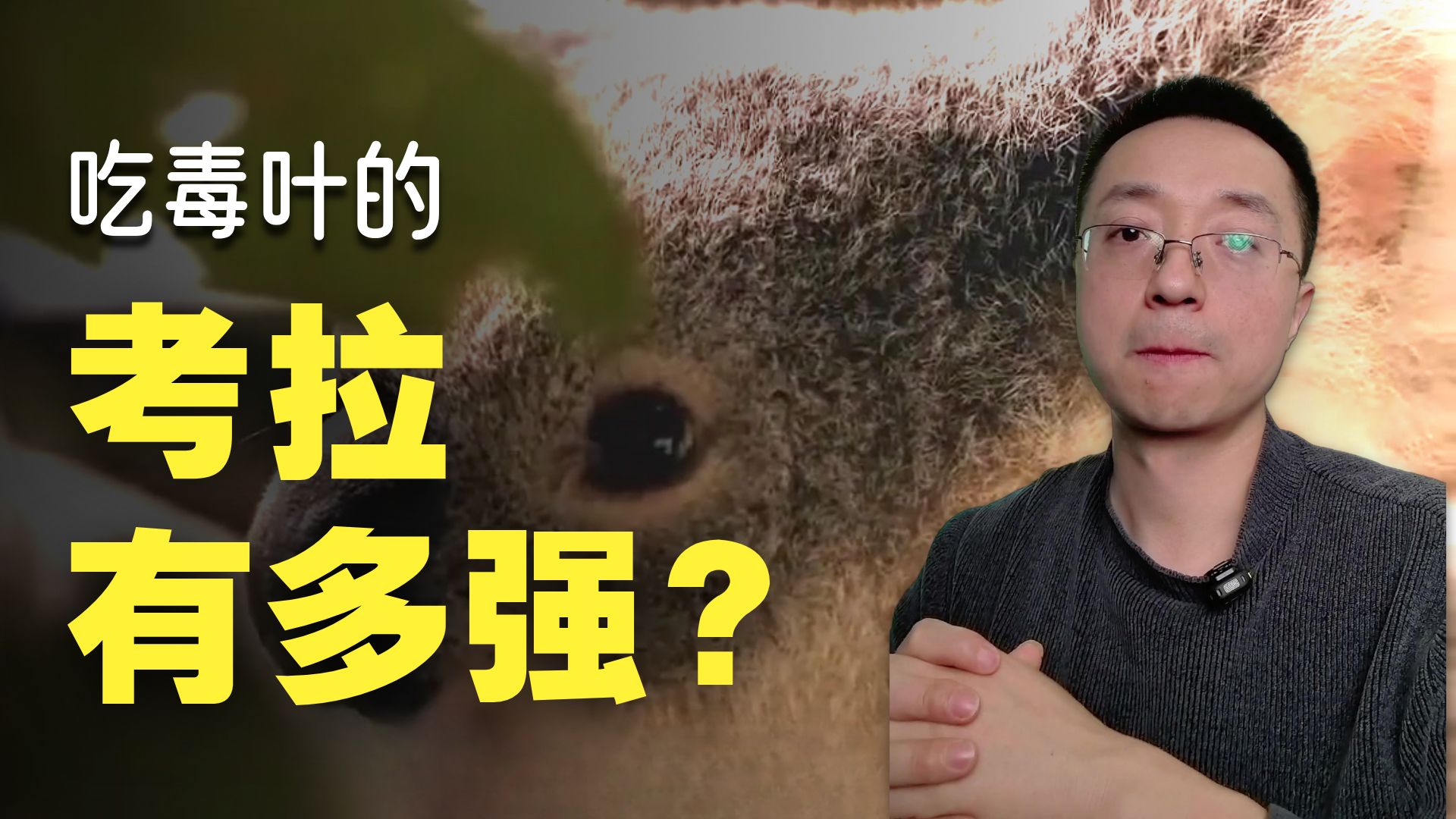 地球上活的最无聊的动物