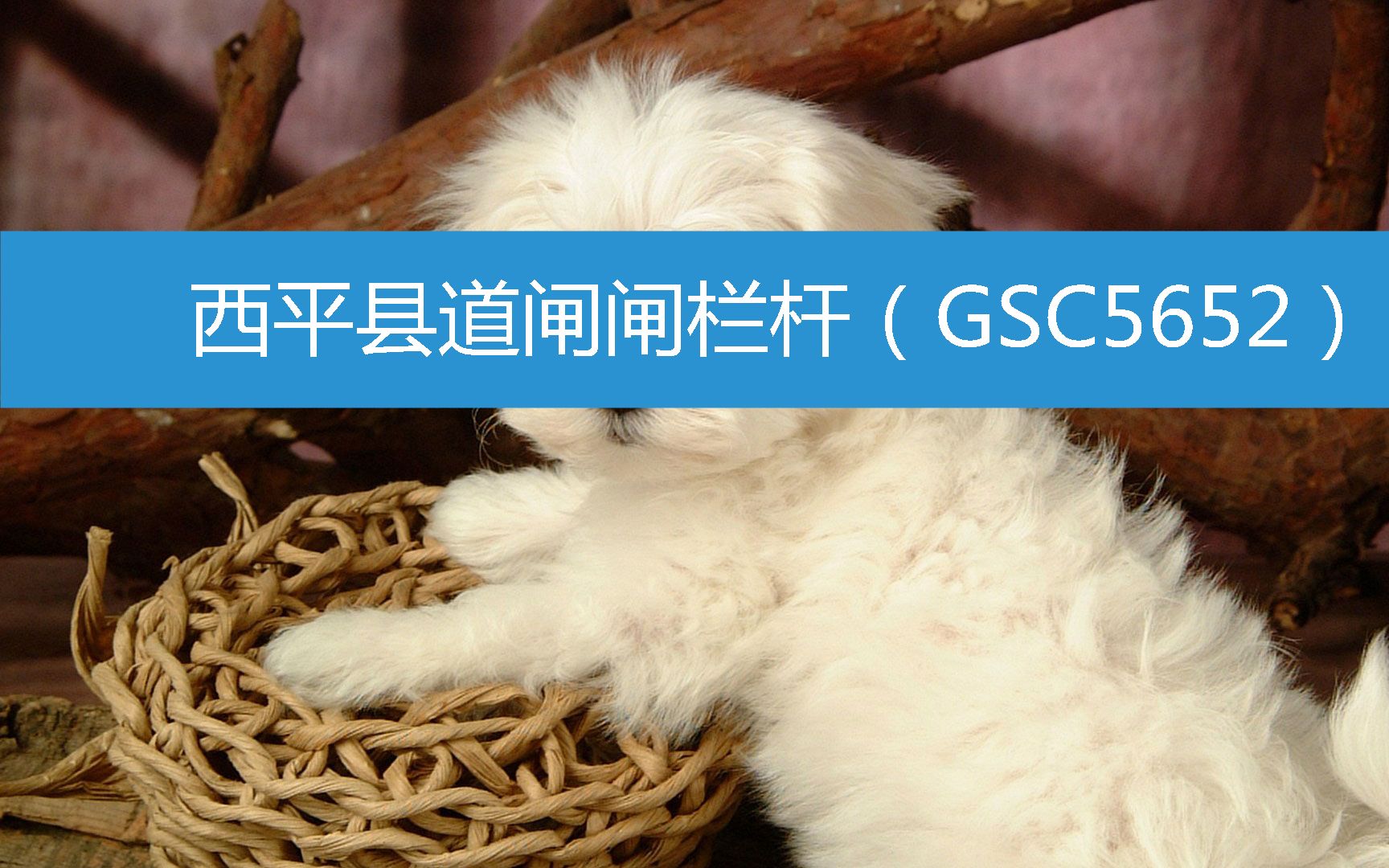 西平县道闸闸栏杆(GSC5652) (2023年3月1日15时2分7秒已更新)哔哩哔哩bilibili