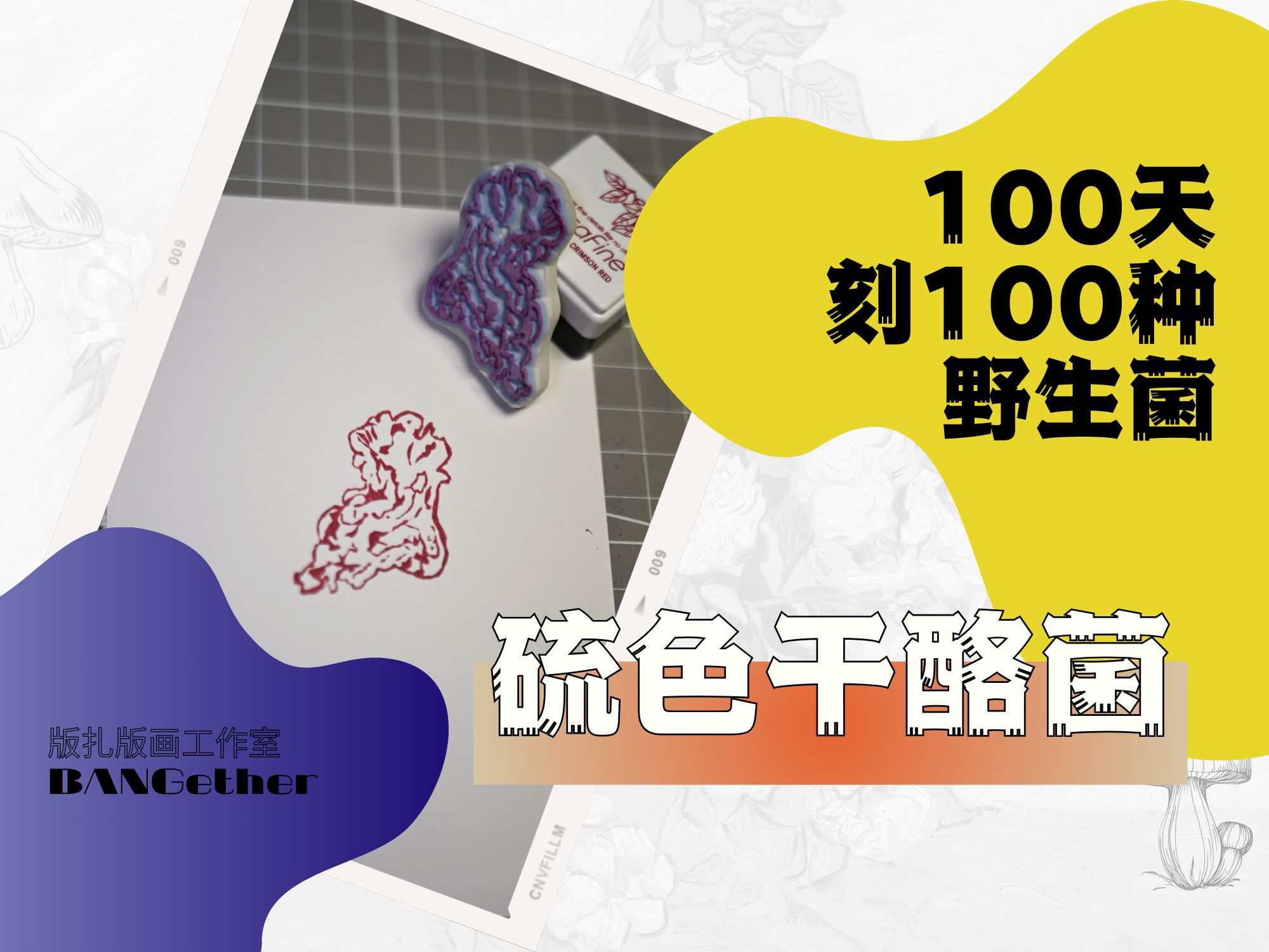 【100天刻100种菌子】之 硫色干酪菌哔哩哔哩bilibili