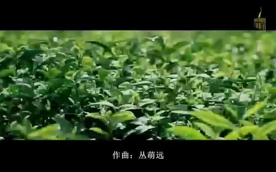 [图]#原创歌曲#新歌首发乡村振兴（蓬莱）实践基地丹崖春茶园歌曲《丹崖春羽》MV首发。