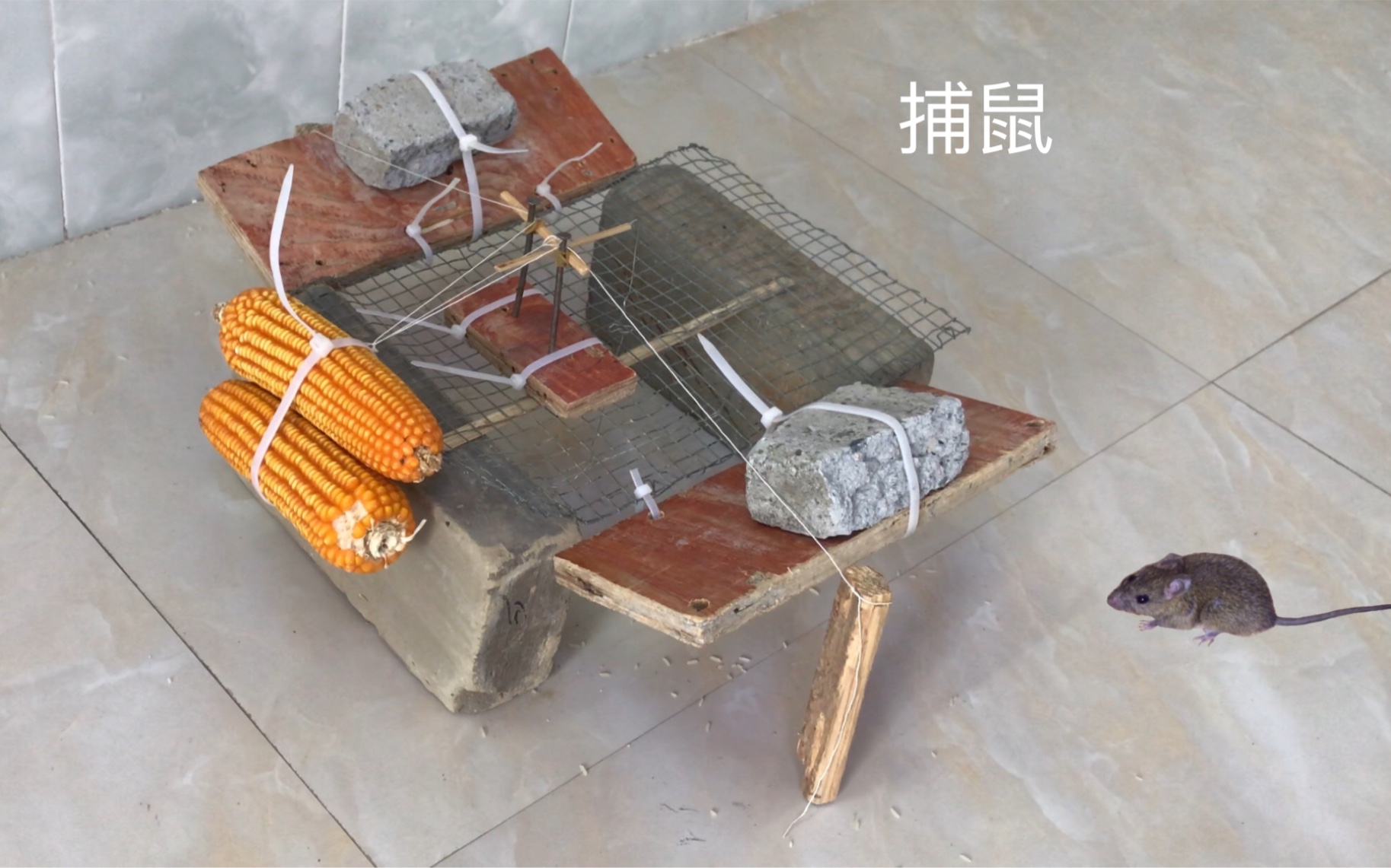 创意手工,自己做一个捕鼠器._哔哩哔哩_bilibili