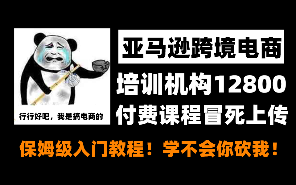 冒死上传(已被开除)!价值12800零基础亚马逊运营课程合集,亚马逊跨境电商入门教程保姆级!学不会你砍我!哔哩哔哩bilibili