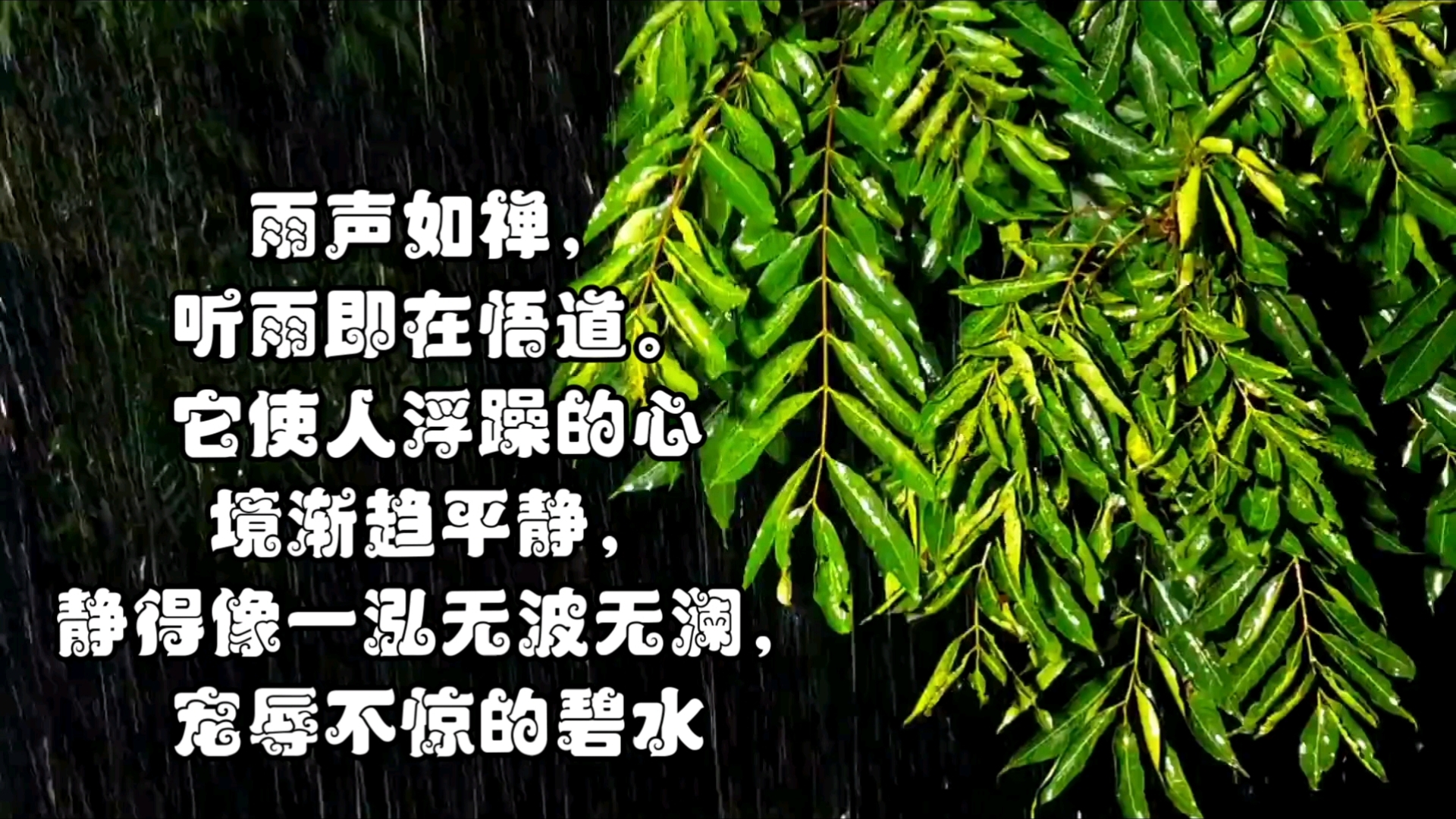 听雨入禅,心静如水哔哩哔哩bilibili