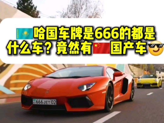 哈萨克斯坦车牌是666的都是什么车?竟然有国产车红旗EHS9,哔哩哔哩bilibili