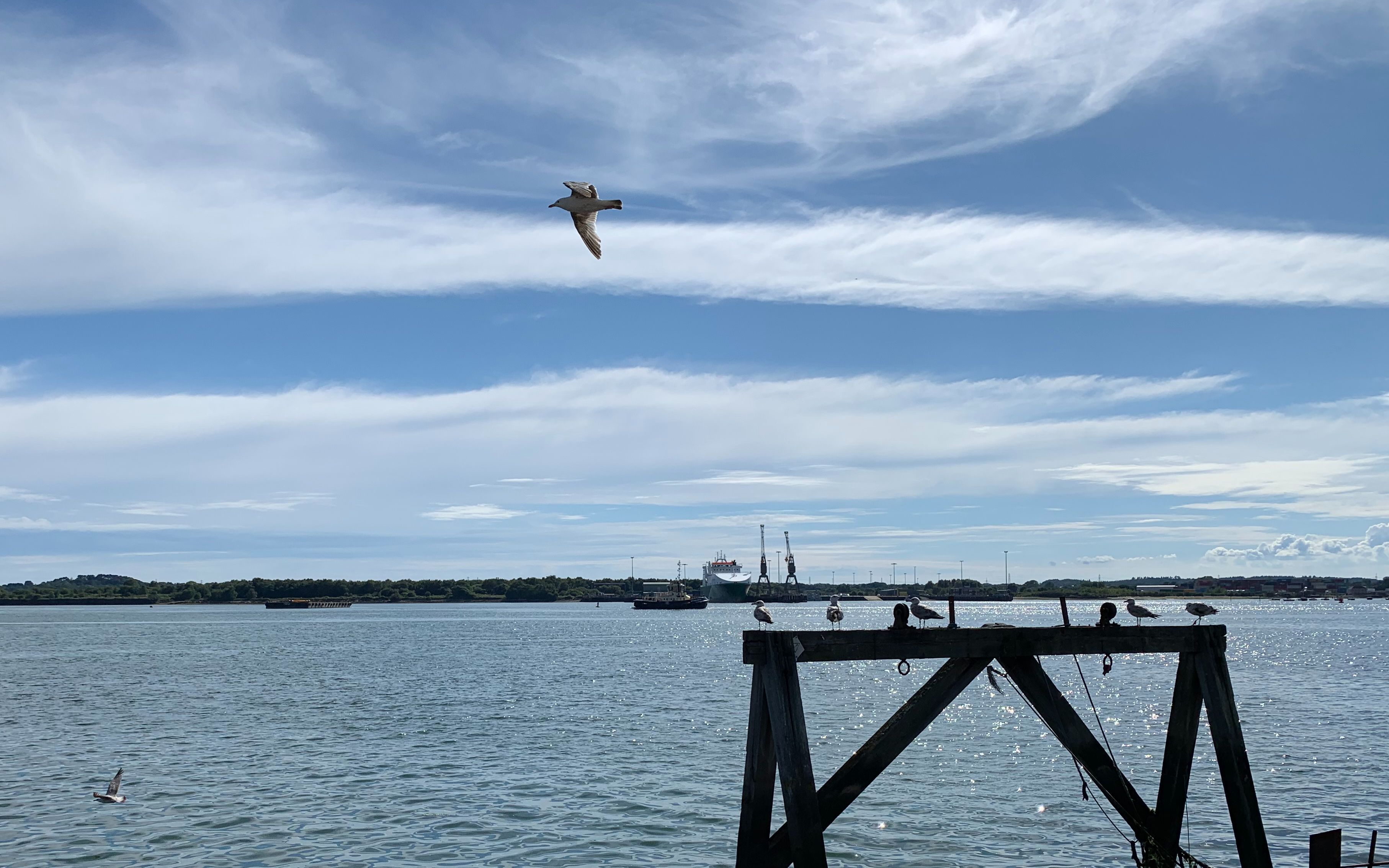 英国南安普顿|海边|英国夏天|疫情期间