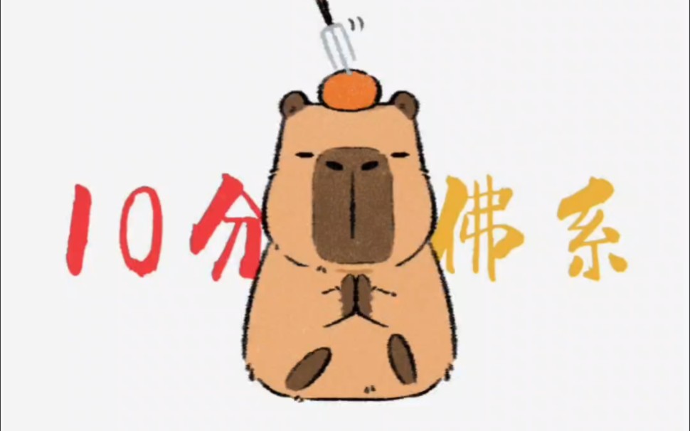 野生的卡皮巴拉千万别伸手去摸