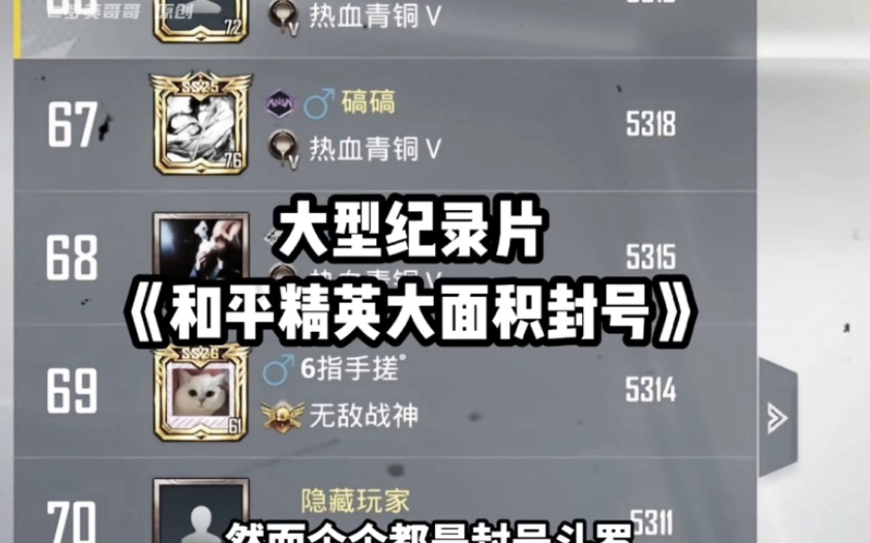 大型纪录片《和平精英大面积封号》ss26新赛季战神榜集体拉闸