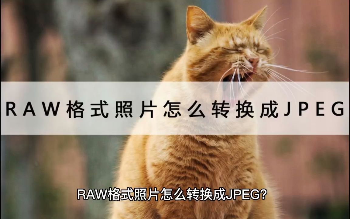 RAW格式照片怎么转换成JPEG?这两个方法你还不知道吗?哔哩哔哩bilibili