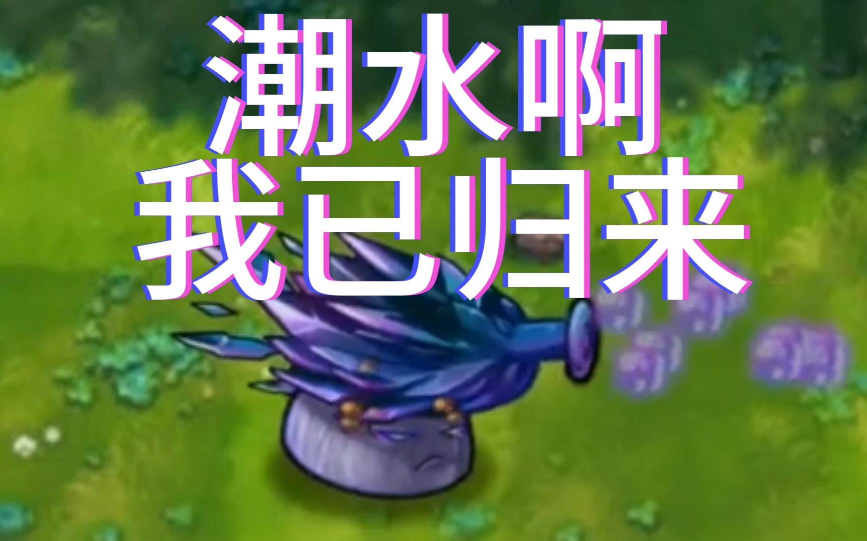 潮水啊,我已归来