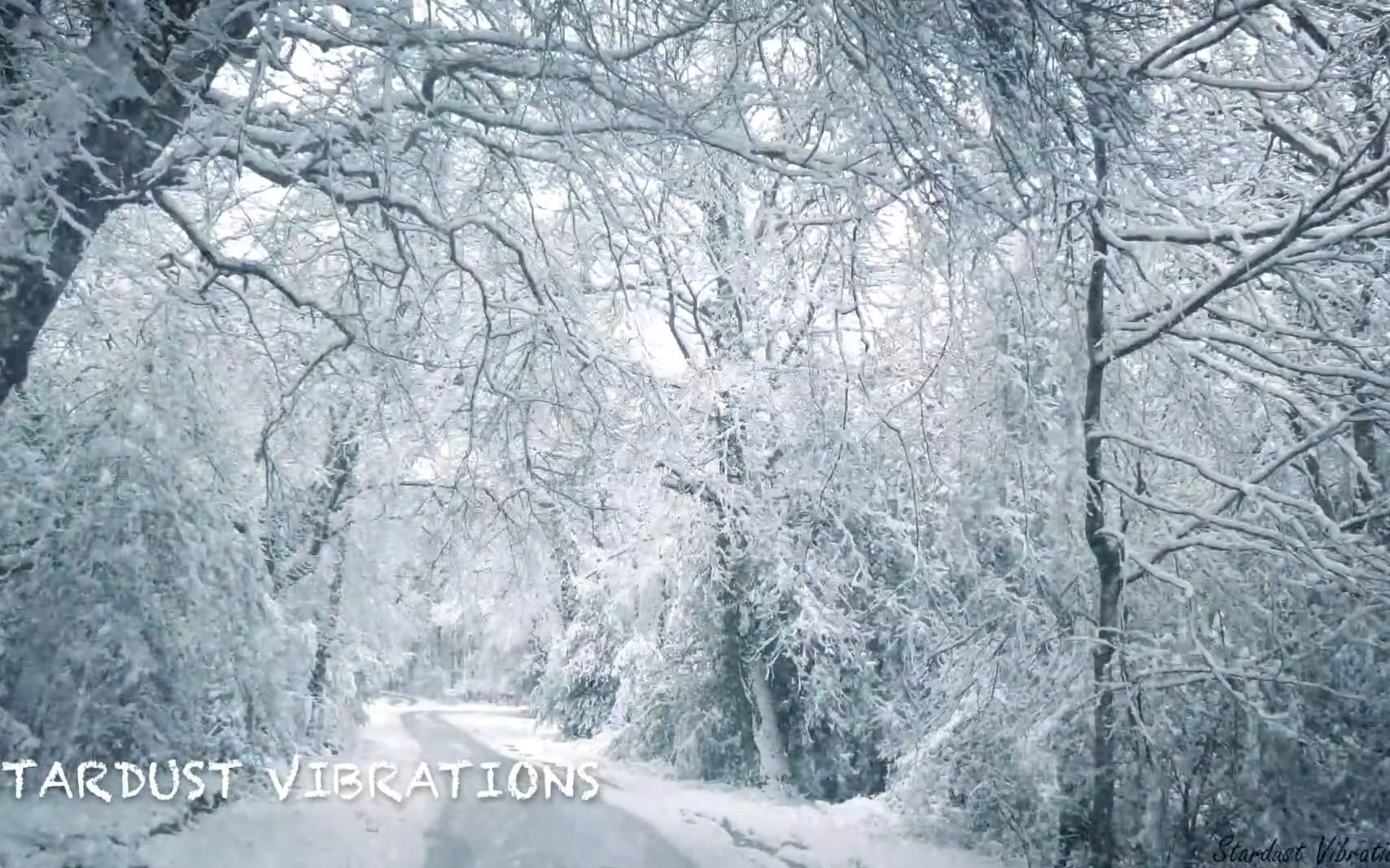 暴风雪的声音使您放松,保持凉爽暴风雪的声音和森林中的狂风 2哔哩哔哩bilibili