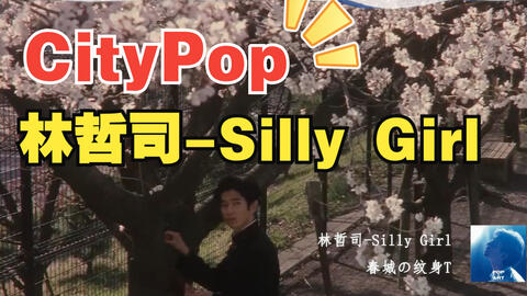 Citypop-林哲司Silly Girl_哔哩哔哩_bilibili