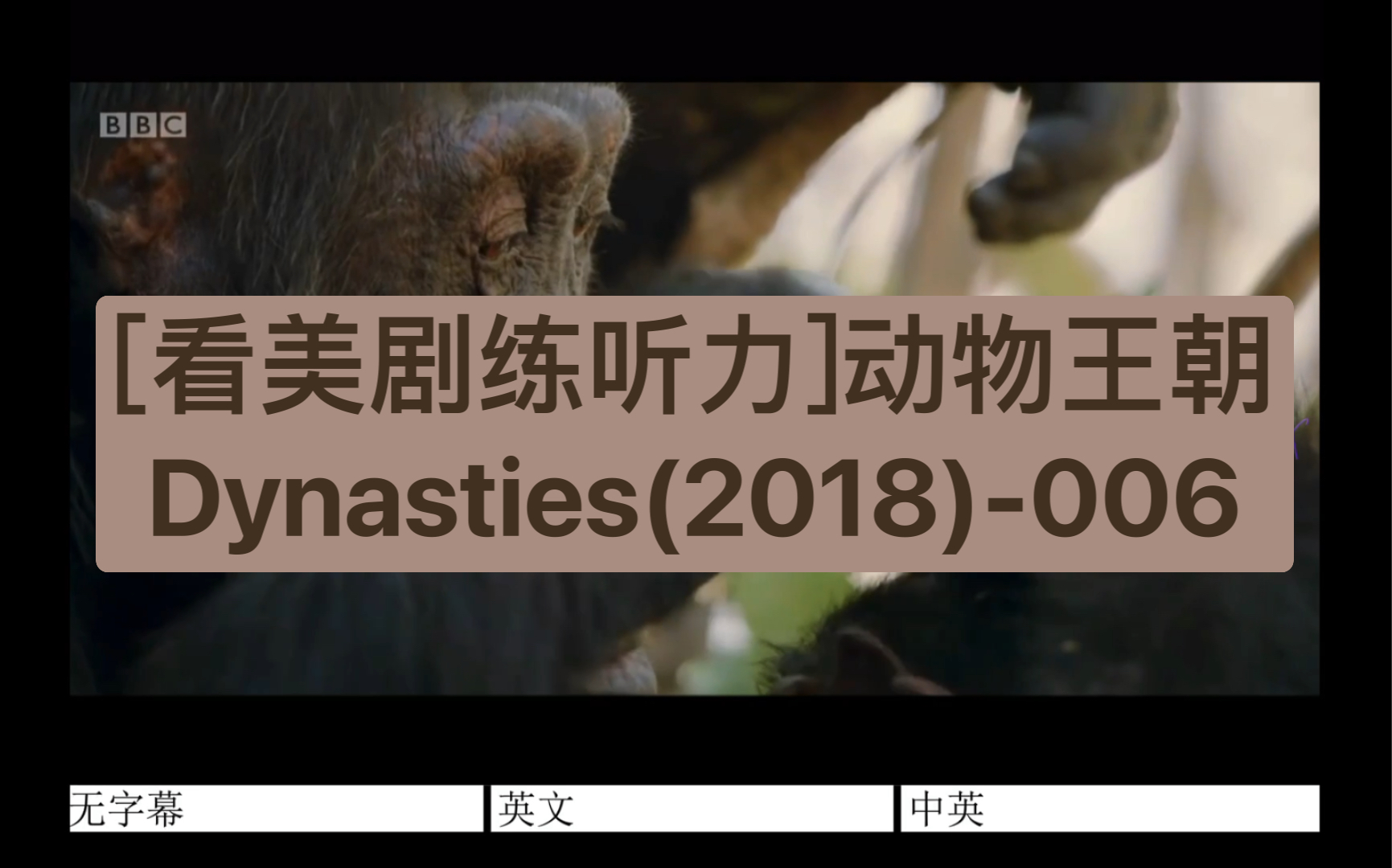 [图][看美剧练听力]动物王朝Dynasties(2018)-006