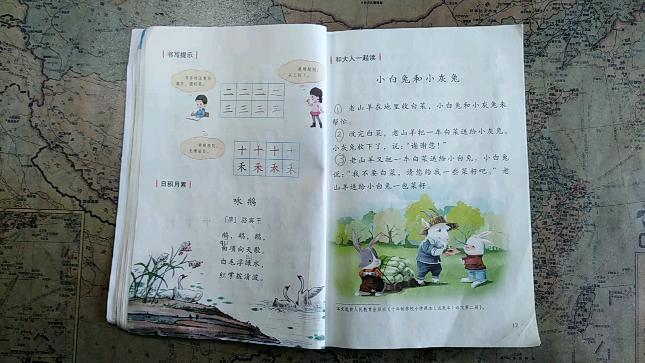 中国小学语文一年级(上)课本朗读 《小白兔和小灰兔》哔哩哔哩bilibili