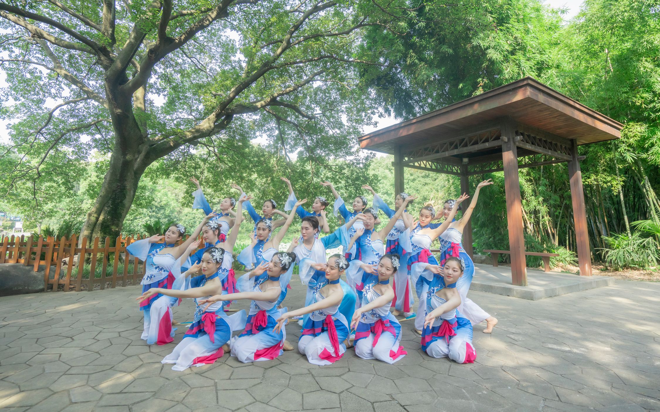 [图]惊艳年会古风扇子舞《花水月》《出水莲》中国舞学员作品-【单色舞蹈】