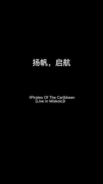 《Pirates Of The Caribbean [Live in Miskolc]》哔哩哔哩bilibili