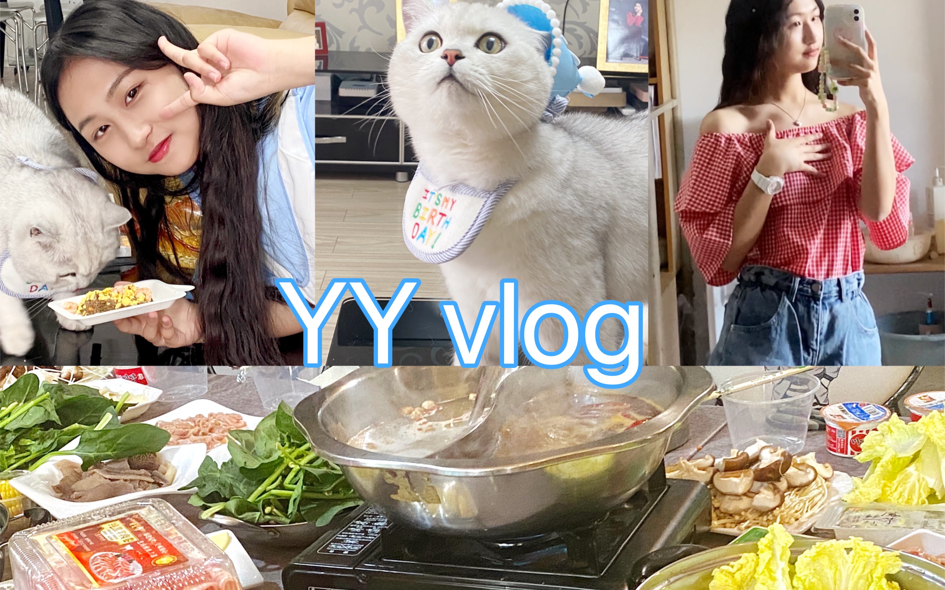 wsyy vlog14 快乐周末|轰趴|给猫咪过生日哔哩哔哩bilibili