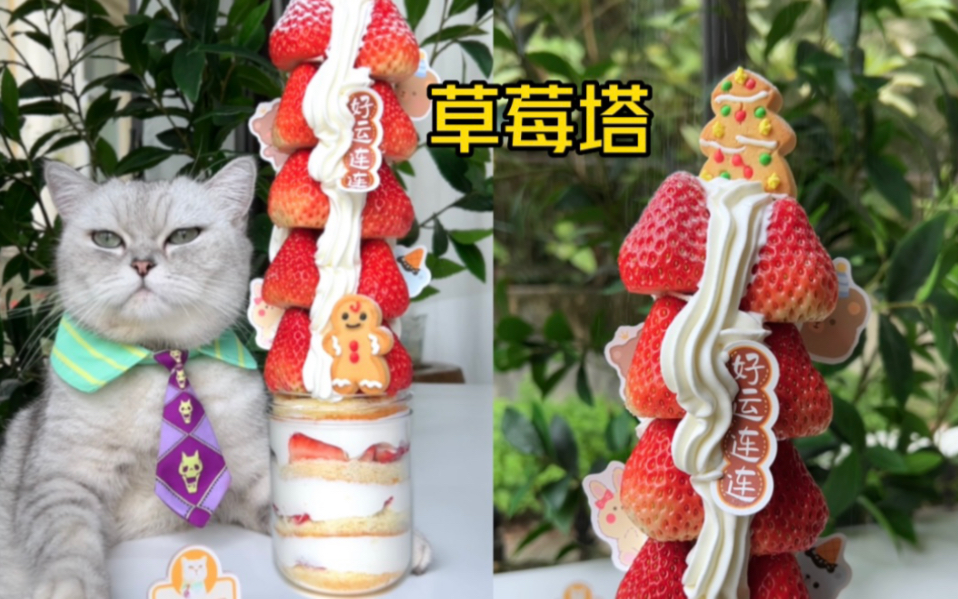 [图]猫王：不建议大家买草莓塔，因为……