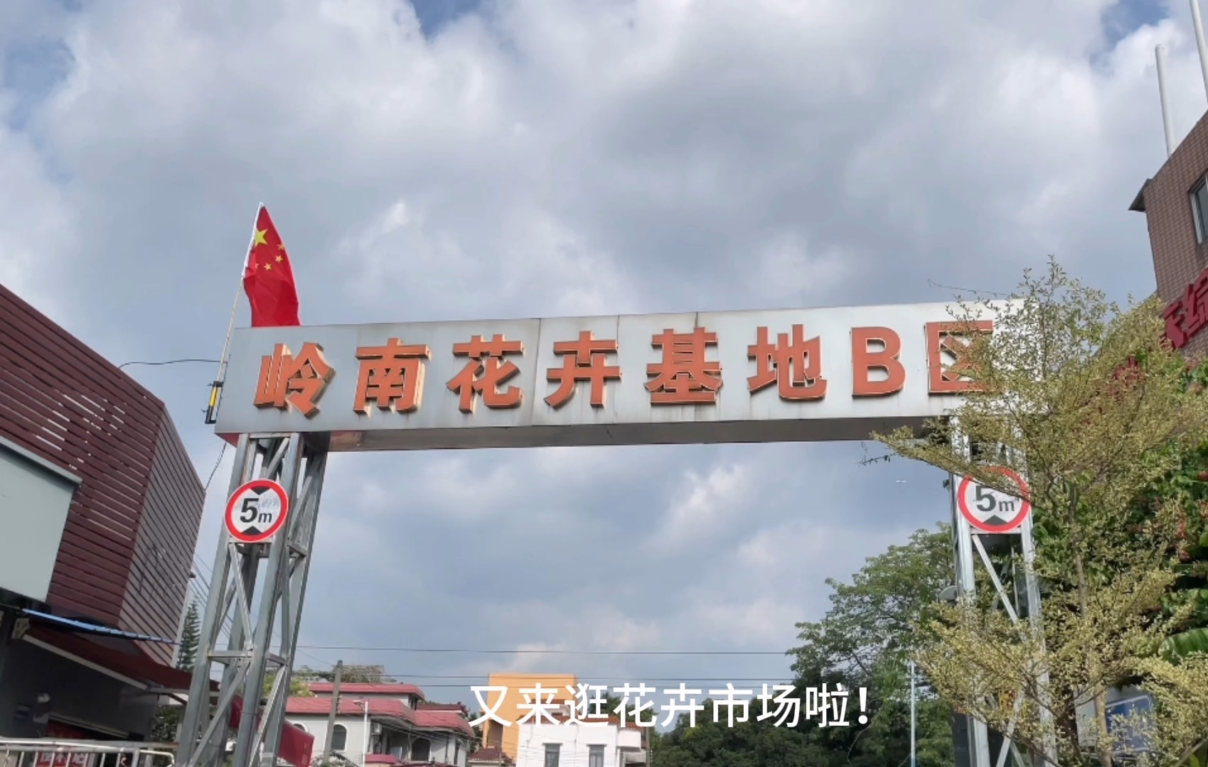 广州最大的鲜花绿植批发市场之岭南花卉市场,逛足一天!