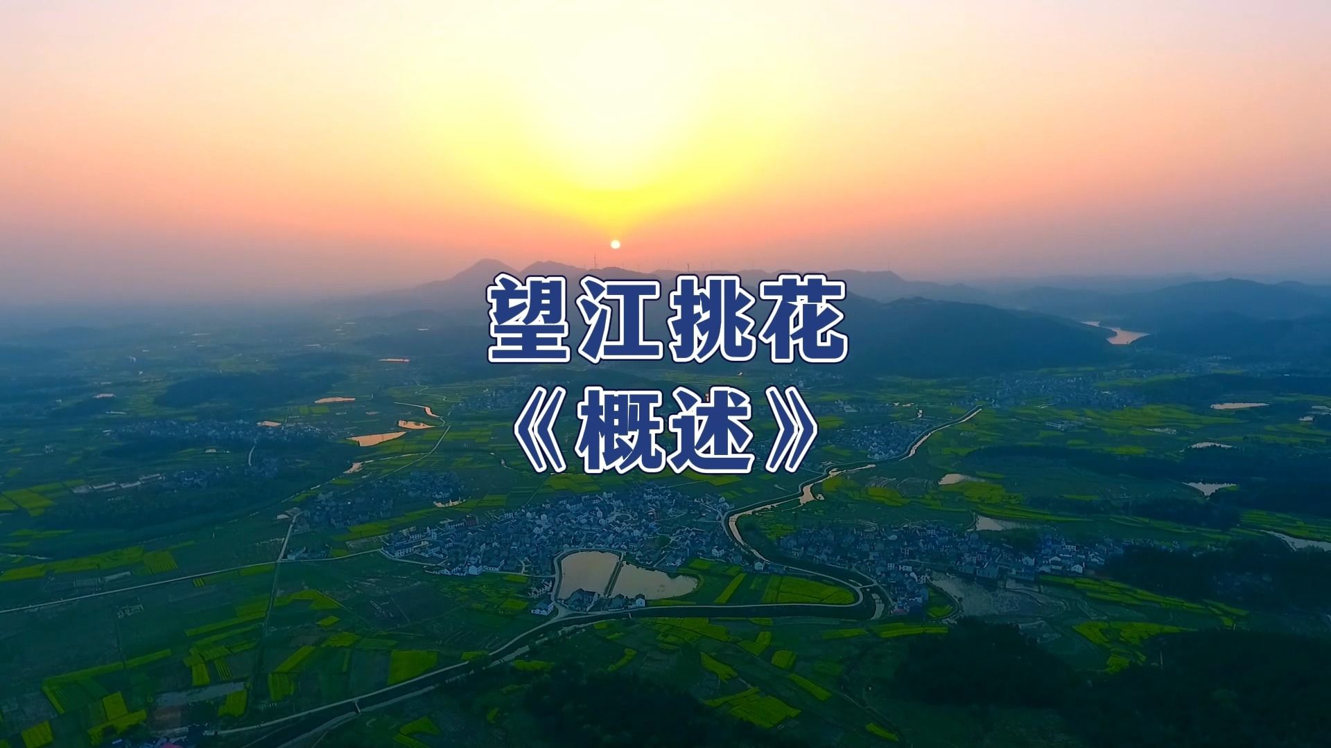 望江挑花《概述》 #望江非遗 #望江挑花#国家级非物质文化遗产