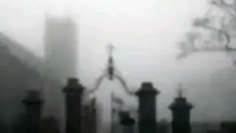 . skeleton