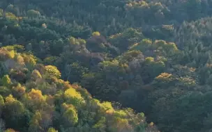 Tải video: 五花山色帽儿山