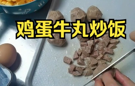 【蛋炒饭】牛肉鸡蛋炒饭 嘎嘎好吃的炒饭哔哩哔哩bilibili