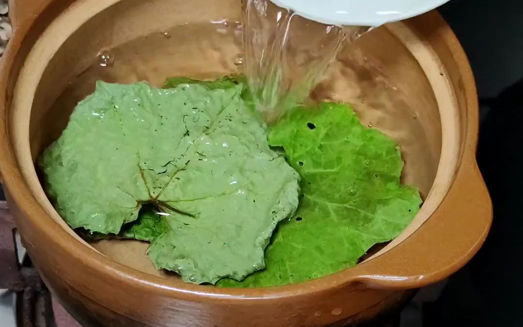 农1村的丝瓜叶#乡村守护人#三农#新农人计划2022