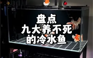 Tải video: 盘点九大养不起的冷水鱼！这些冷水观赏鱼你养过吗？#冷水鱼 #观赏鱼 #水族