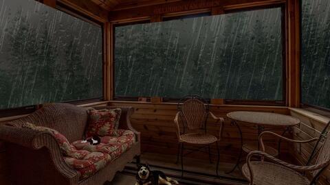 Zzz Zzz 睡眠主题曲白噪音学习安眠放松 哔哩哔哩 Bilibili