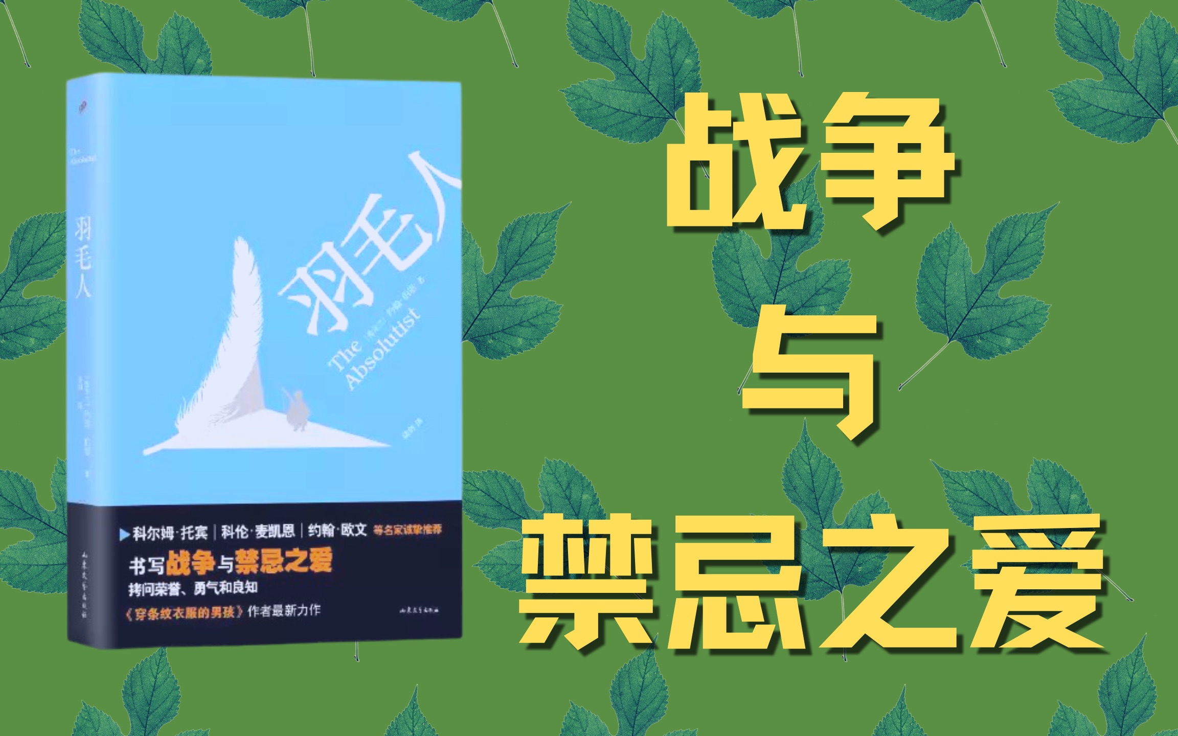 lgbt阅读推荐羽毛人战争与禁忌之爱theabsolutist穿条纹睡衣的男孩