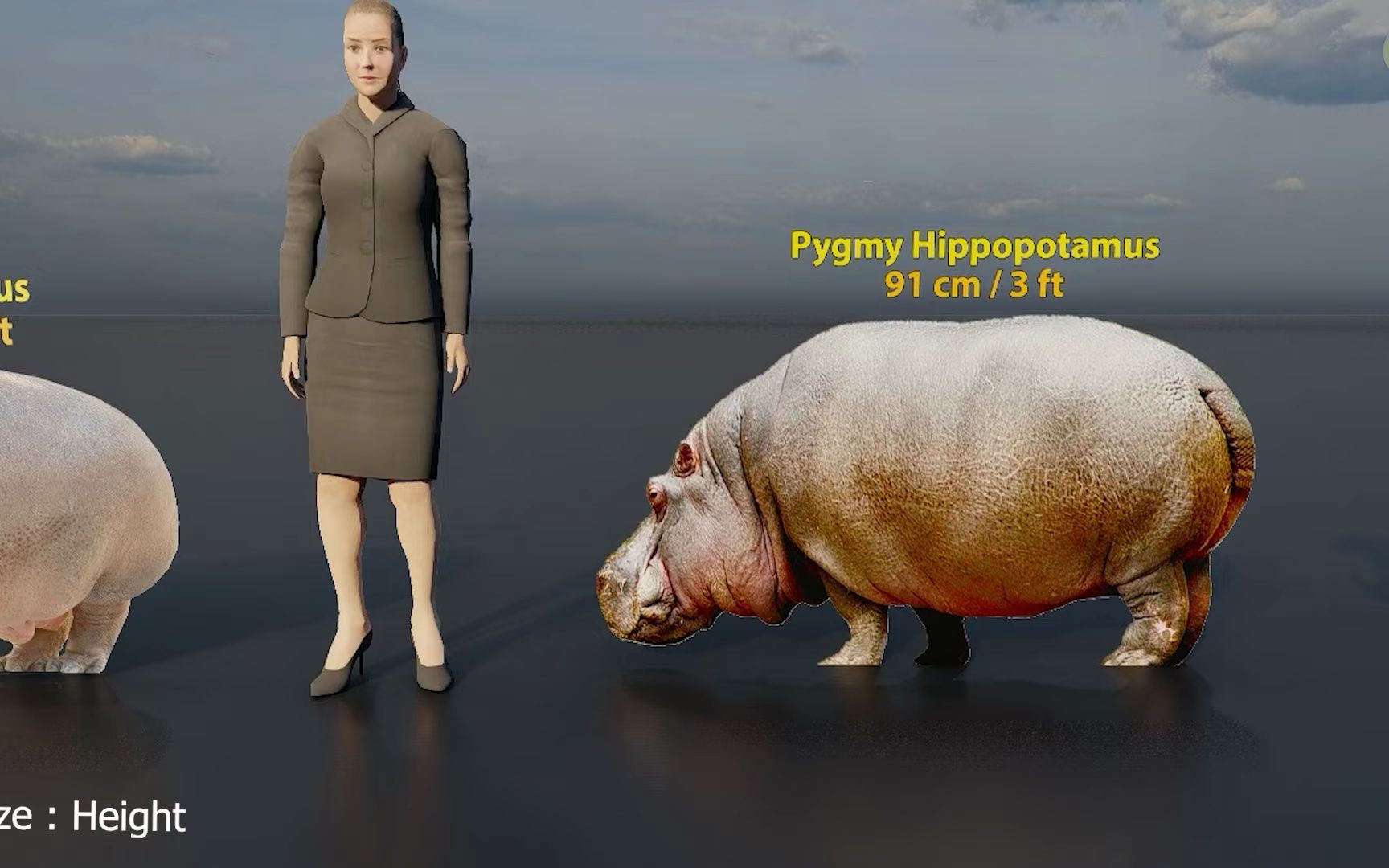 动物圈:河马长颈鹿大小比较 (3d)