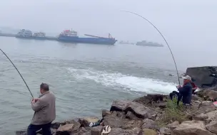 Скачать видео: 宜昌钓鱼人的胜地，老师傅手起大鱼，场面舒服，带劲