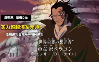 海贼王革命军 哔哩哔哩 Bilibili