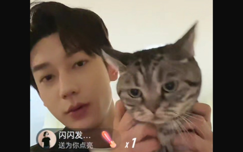 【鹿单东】23.10.24 下戏后直播 被猫猫黏住 聊天 听歌