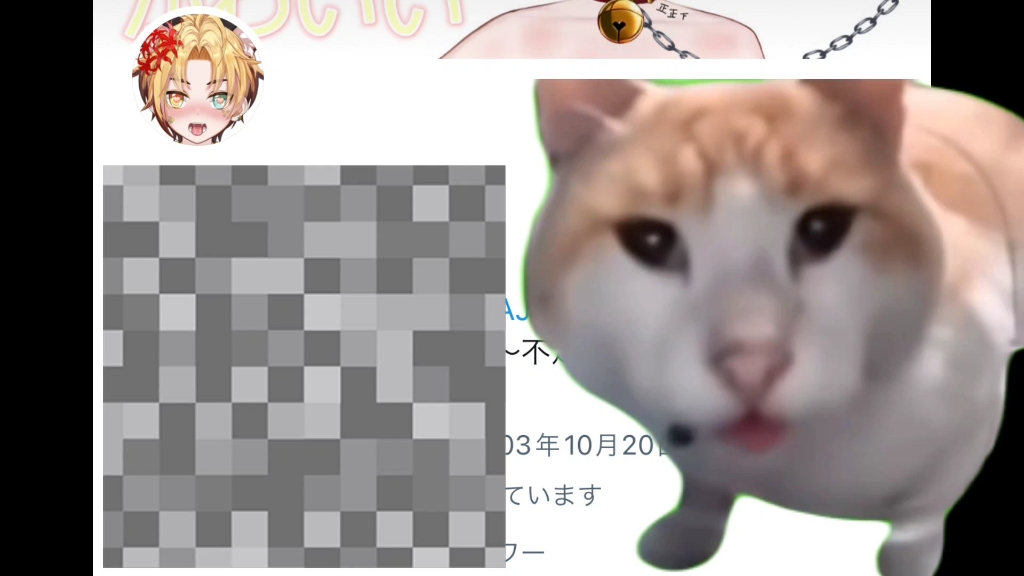 [图]【猫meme】关于我发现了主包的副业这档事