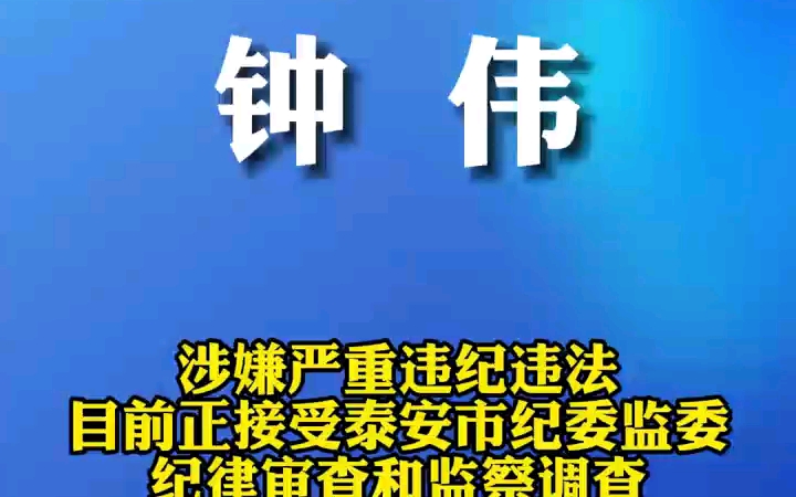 泰安高新发展集团有限公司党委委员、副总经理钟伟接受纪律审查和监察调查.哔哩哔哩bilibili