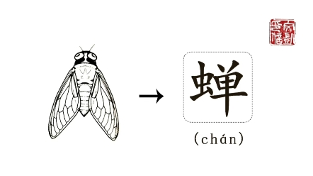 [图]每日小知识之汉字小故事“蝉”