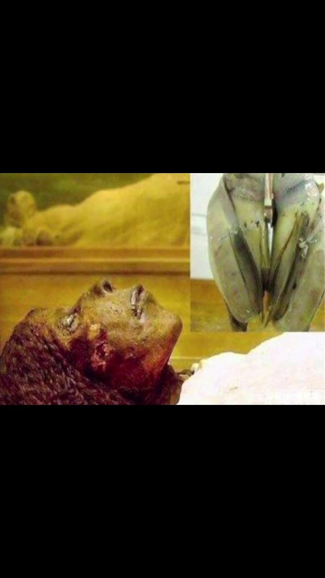 突尼亚西非洲考古队发现八万年前人造心脏,经过对比分析统计这颗人造