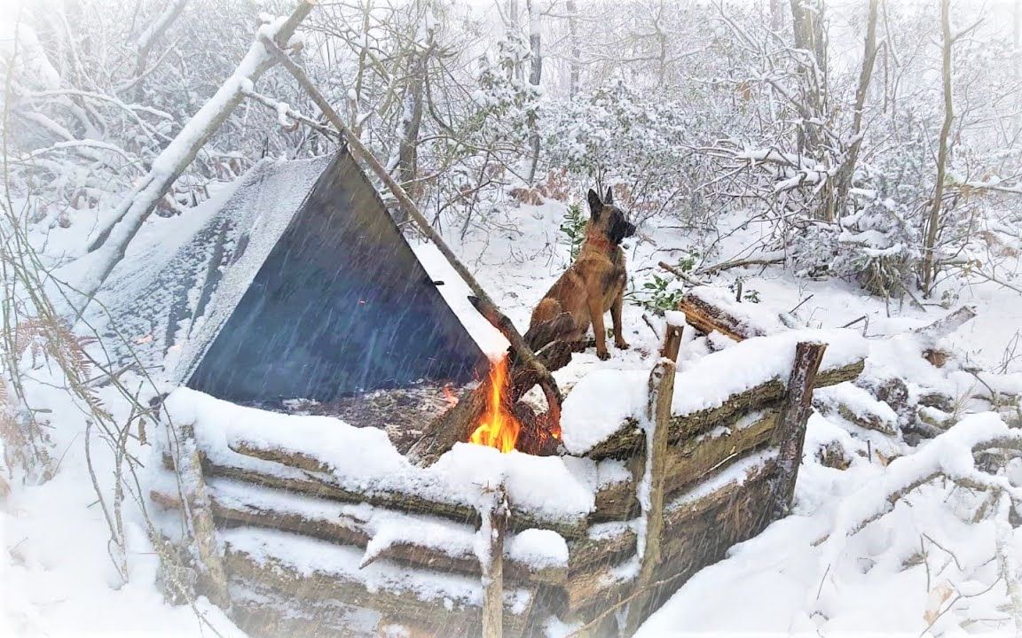 [图]突降暴雪 野外求生庇护所 带着大狼狗去露营