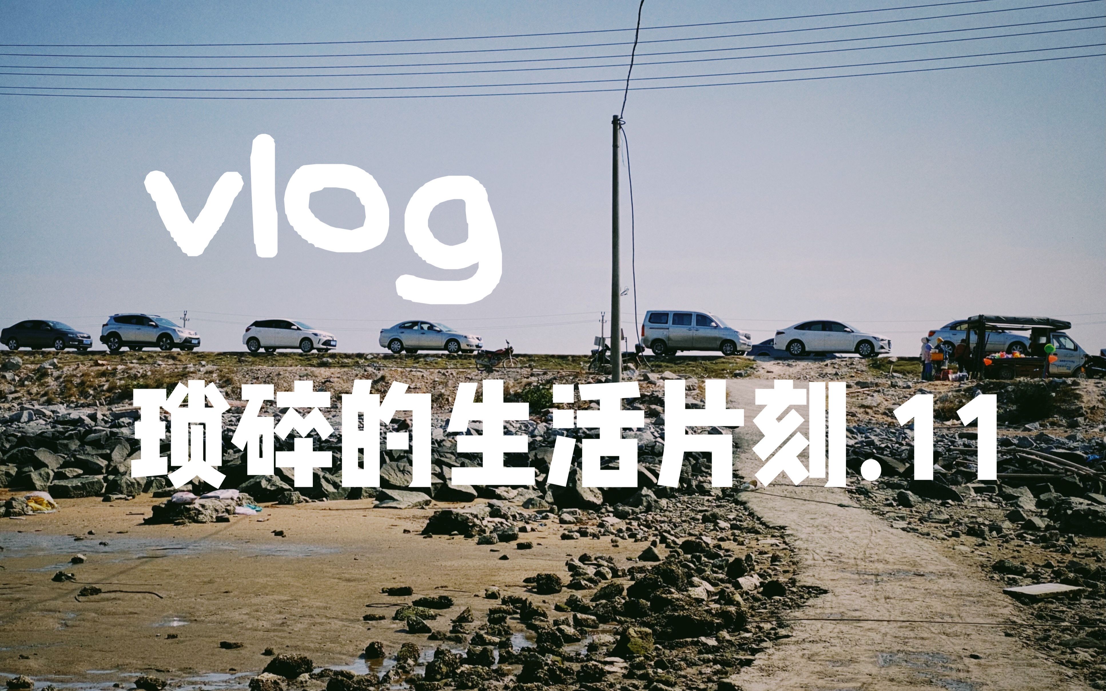 琐碎的生活片刻.11_哔哩哔哩_bilibili