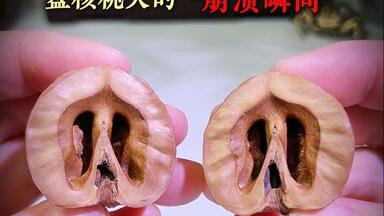 九层妖塔核桃、文玩 文玩核桃30mm，九层妖塔，超肥八腿全蹬，蟾型漂亮，有开背，骨质