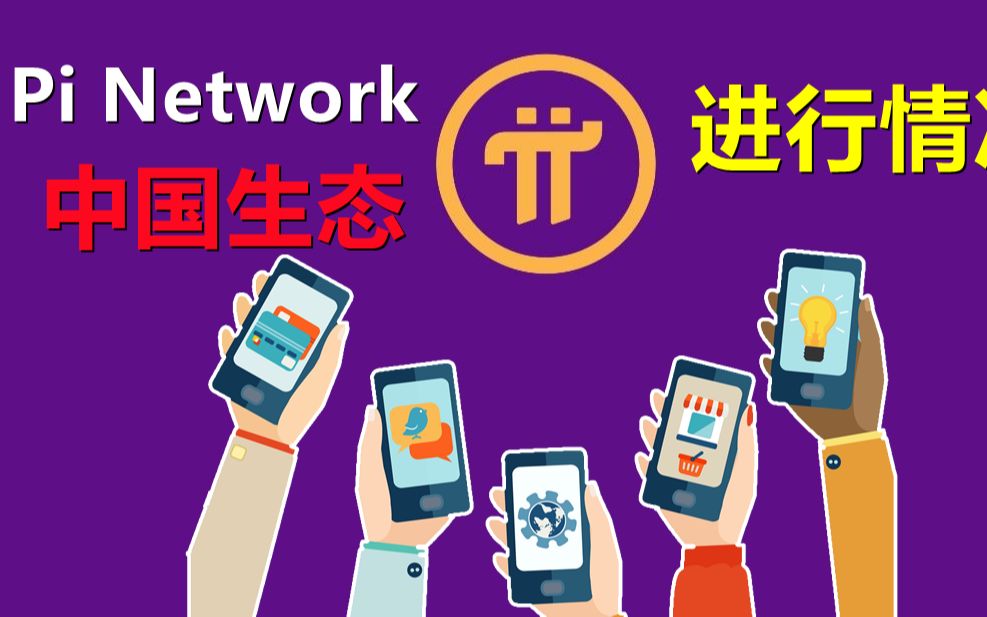 Pi Network中国生态进行情况,内地两家易货商场陆续在对接PI链,部分上台已经对接完成等待项目方发话,但内地皮先锋依然没有等到关于KYC进展哔哩哔...