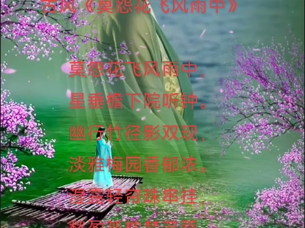 古风《莫怨花飞风雨中》哔哩哔哩bilibili