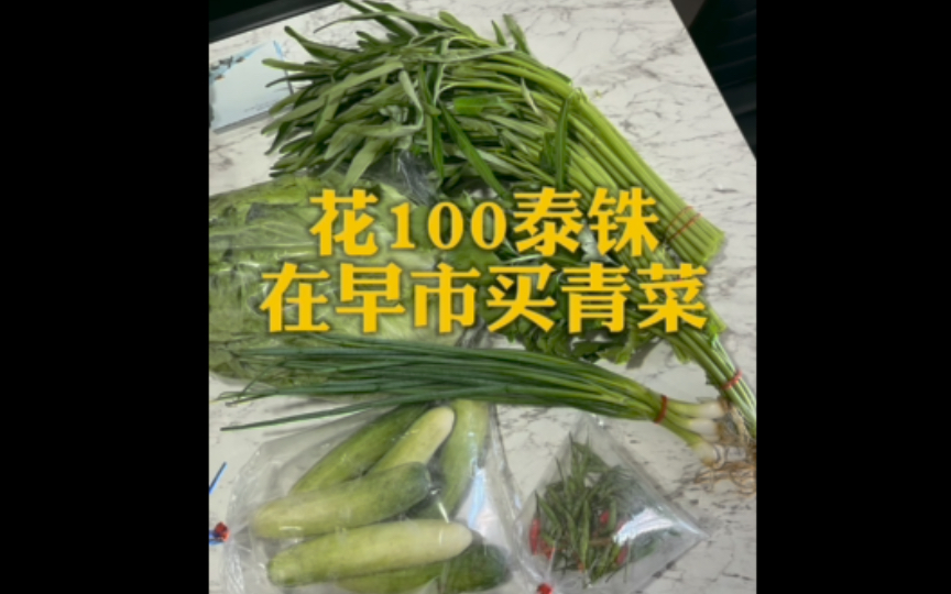 花100泰铢在早市买青菜!哔哩哔哩bilibili